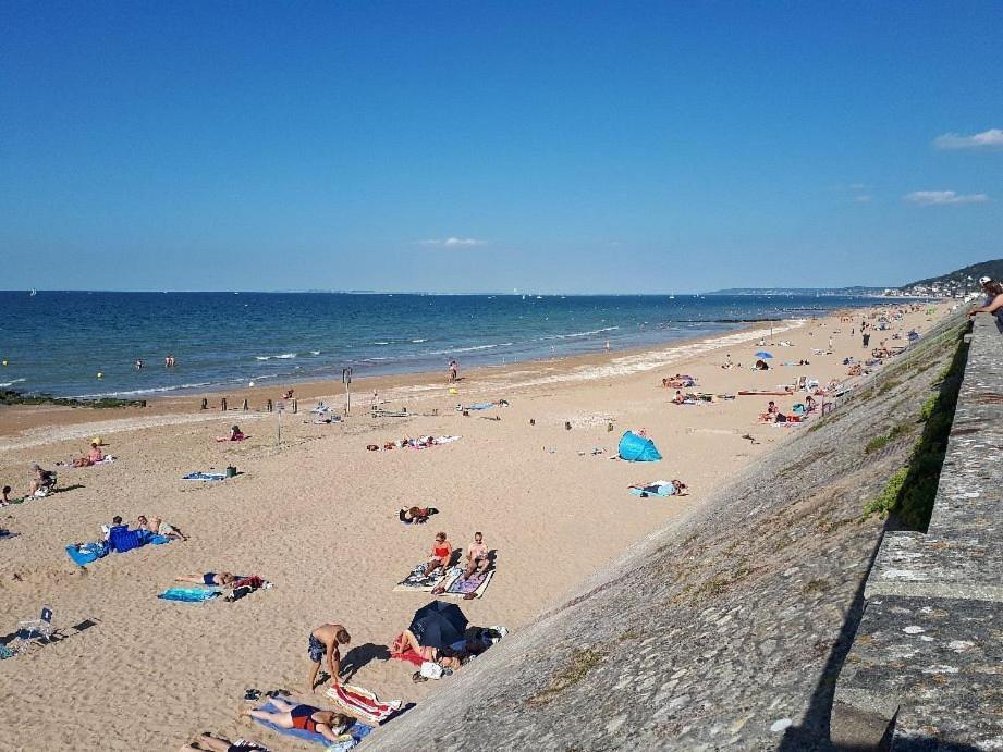 "Magnifique 2 Pieces " 150M Plages Et 500M Centre De Cabourg Eksteriør bilde